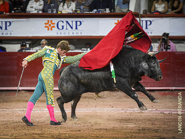 Asimilando sobre la marcha