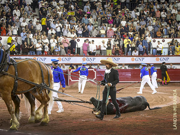Ovaci�n de pie, sin vuelta al ruedo