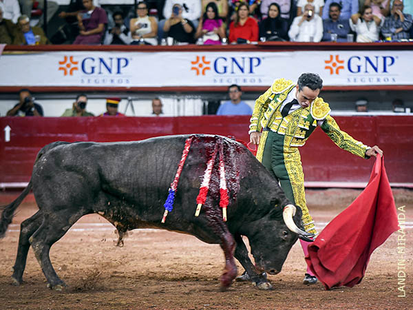 R�tmico concierto de naturales, lo mejor