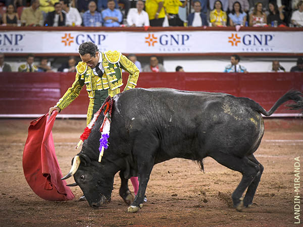 Pasmosa elegancia en los medios