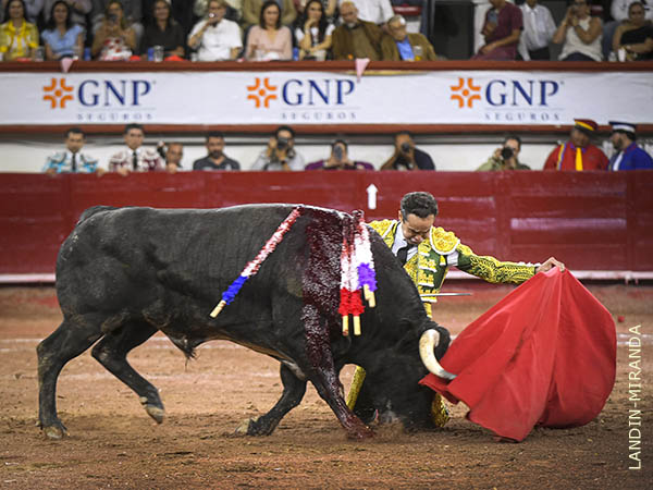 Comienzo de faena de rodillas