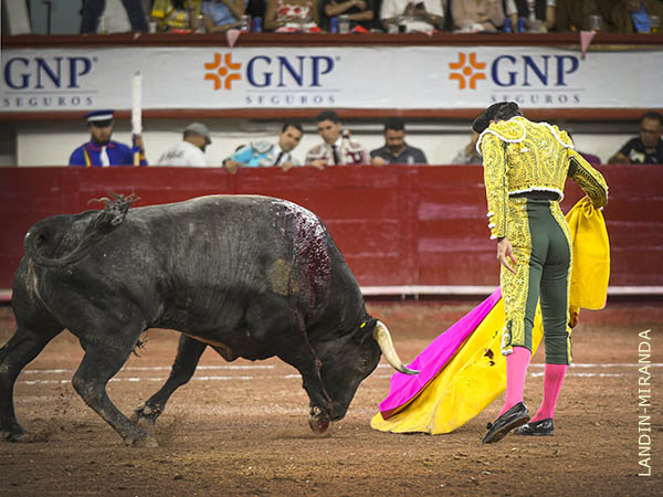 Larga para rematar el quite