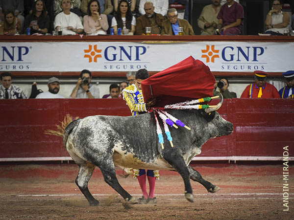 Zapatillas asentadas en la arena