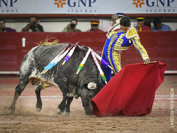 Cadencia en los naturales de amplio trazo