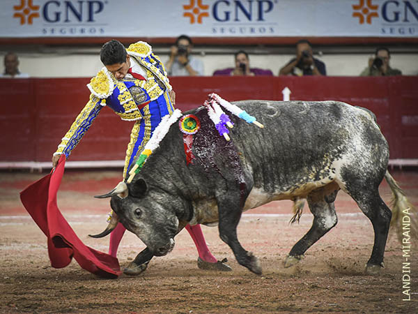 Un toro noble, que tuvo clase