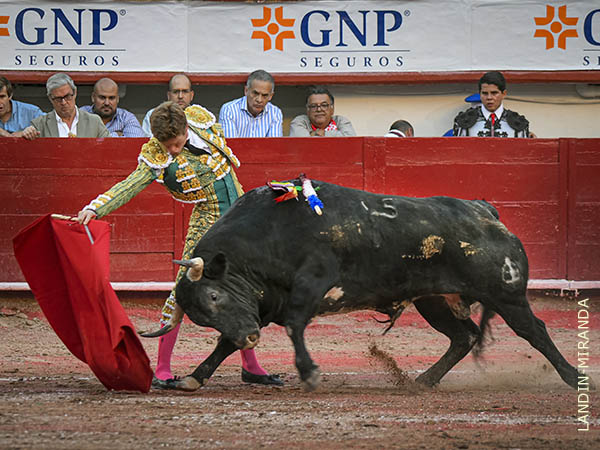 Borja con el primero de su lote