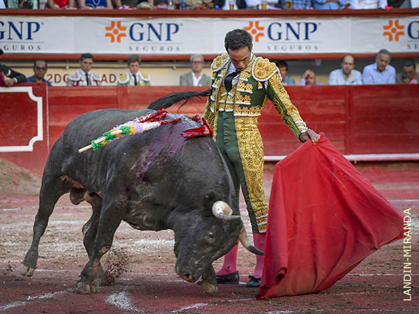 Su madurez expresiva