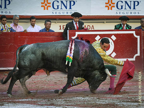 Juan Pablo, ahormando la embestida