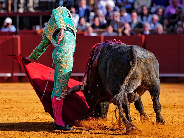 Nobleza del ejemplar