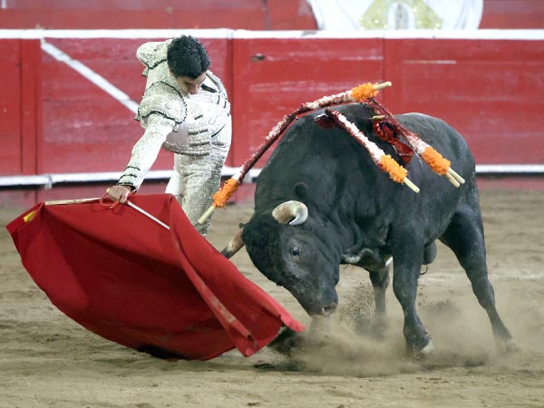 Se acopl� con el ejemplar