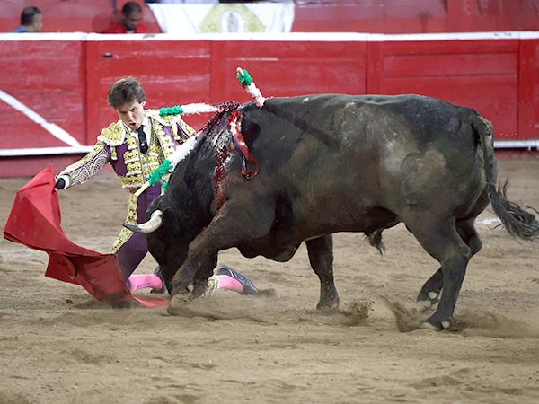 Serie rodilla en tierra