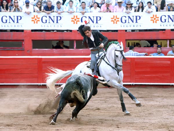 Banderilla larga en los medios