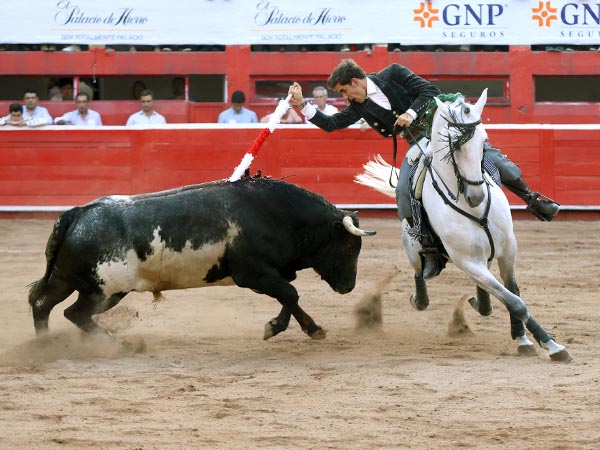 Adornando el morrillo