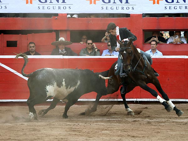 Guillermo, en el gusto regio