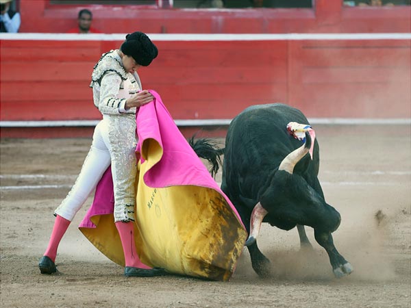 Las ver�nicas de Marco