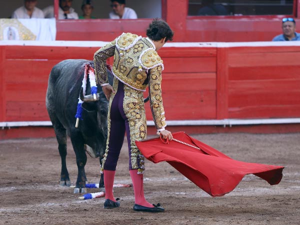 R�fagas que molestaron al diestro