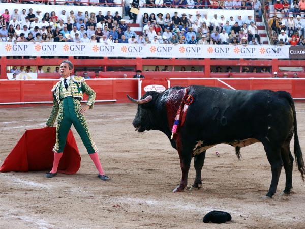 La mirada al tendido