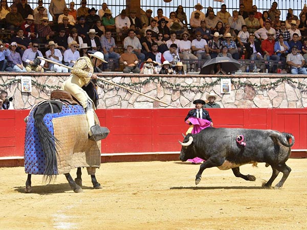 Emoci�n en la suerte de varas