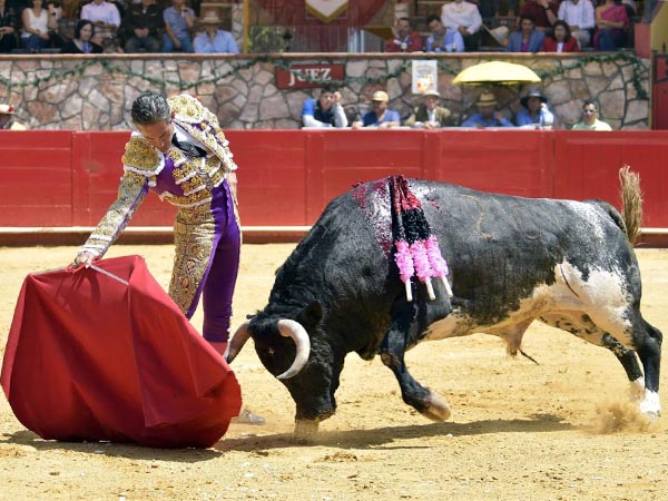 La nobleza del berrendo