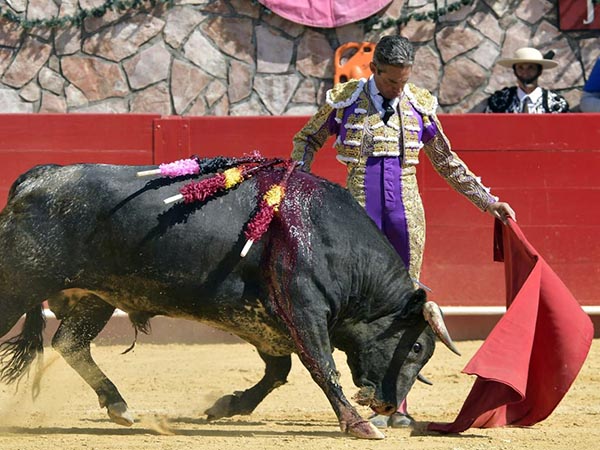 Llev�ndolo toreado