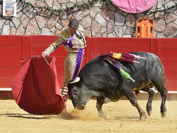 Dominio de las alturas