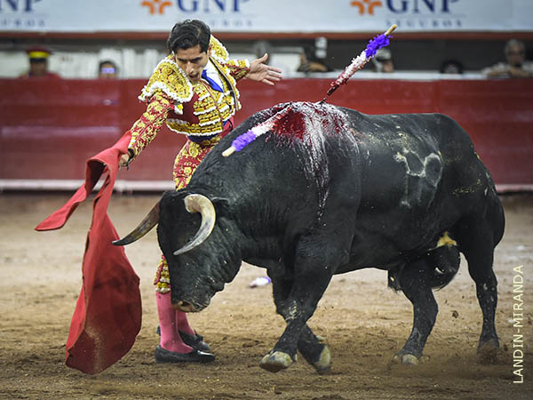 Estilo propio, con su sello