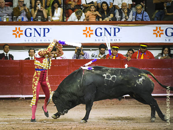 Torero solvente en los tres tercios