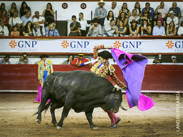 Rivalidad en los quites