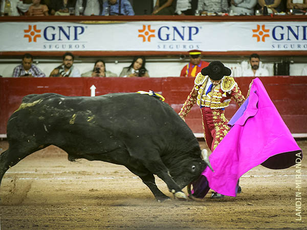 Vistoso floreo de capote en el saludo