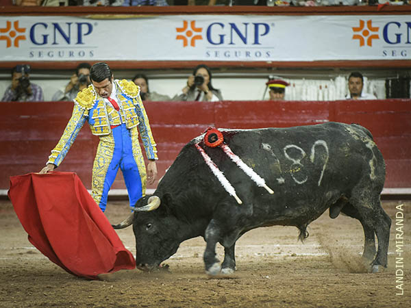 Su expresi�n, cobijada por el ol� sonoro