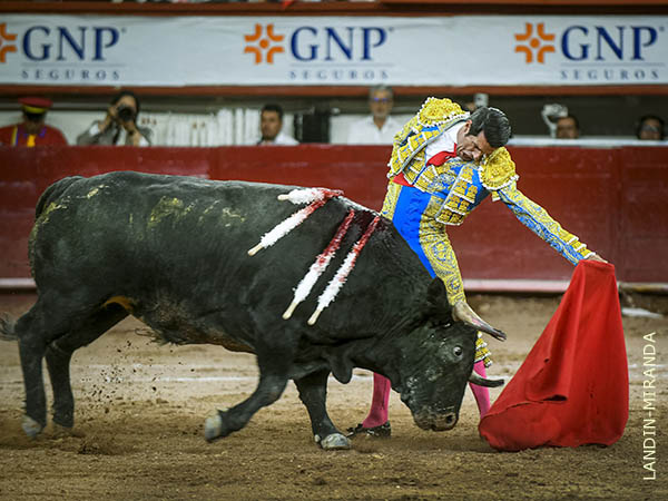 Con suavidad, pero tambi�n con firmeza