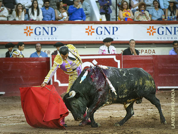 Ejemplar de lidia dif�cil