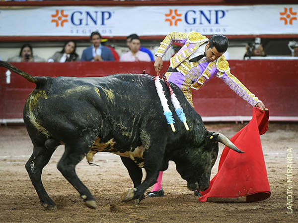 No le falt� voluntad