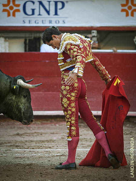 En terrenos del toro