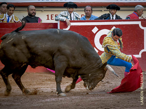 Bosquejo de lidia poderosa