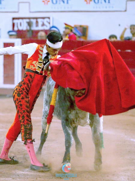 Arrojo de torero