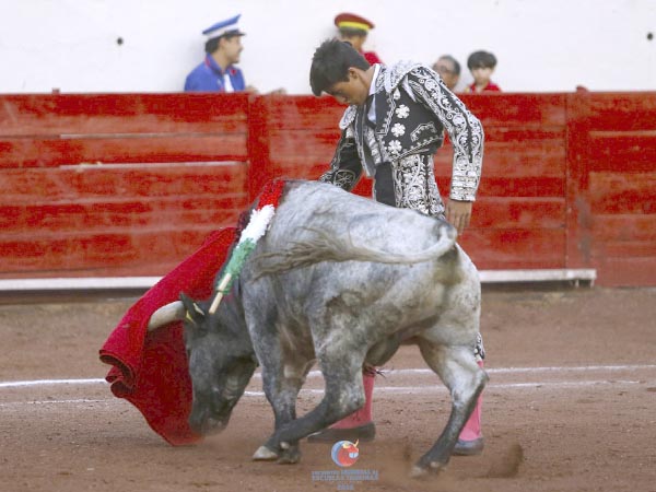 Un novillo que siempre busc� las tablas