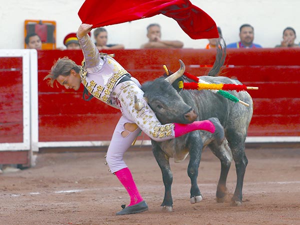 El ejemplar le hiri� en el muslo