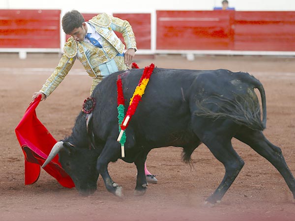 Estructura de uno en uno