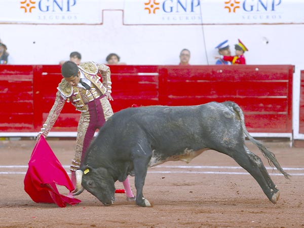 David Rocha, por los toreros de casa