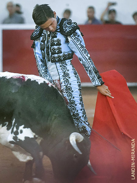 Asentado, tranquilo y seguro