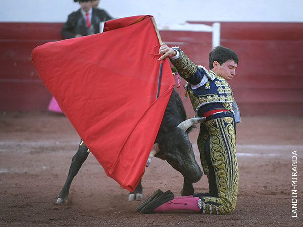 Vibrante y valiente en la muleta