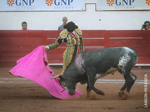 Cl�sico con el capote