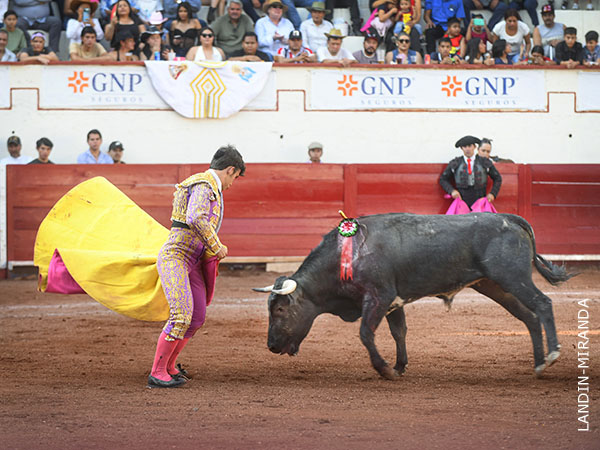 Zapopinas en el quite