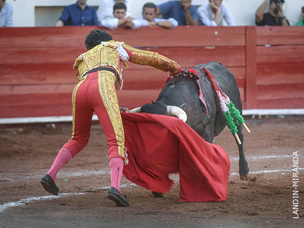 Fulminado con la estocada