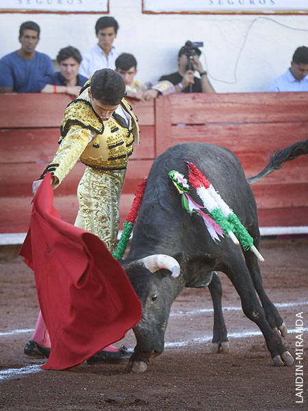 Destellos art�sticos