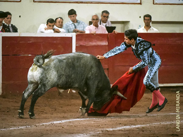 De nuevo, contundente con el acero