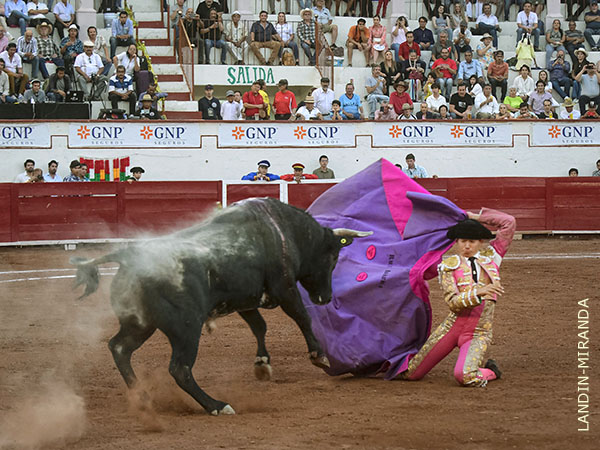 Ra�l Ibarra, enormes deseos de triunfo
