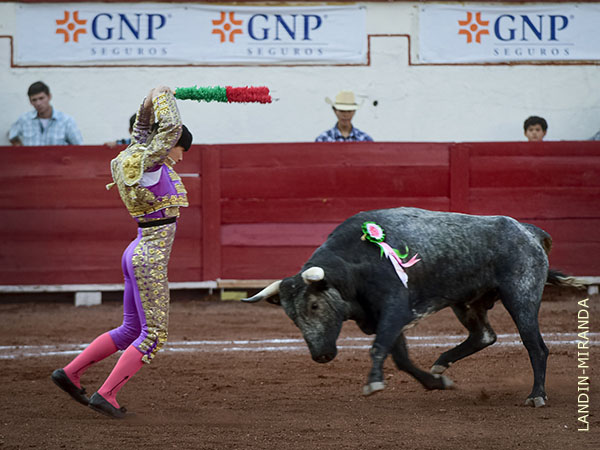 Facultades para el tercio de banderillas