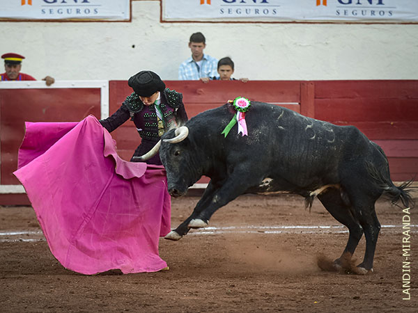 Diego Medina, expresivo en su toreo
